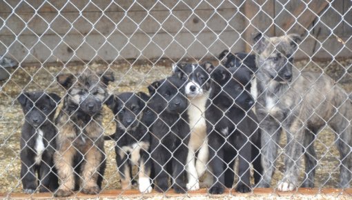 ��� ���� ����� ������!