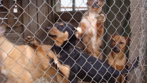 ������������ ������ ������ � ����� ����� ��������