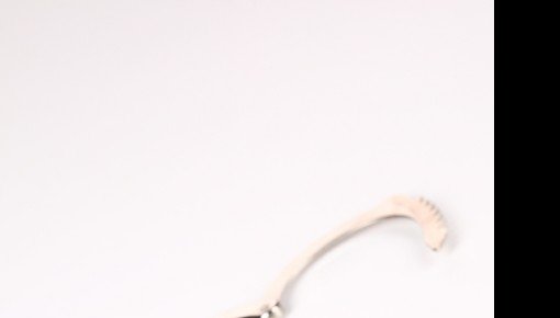 ����� ��������� ������� �� �������