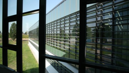 ����������� ������������ ������ �� ������� ������ ���������