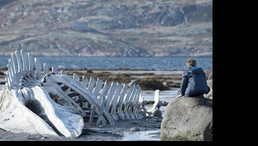 ��������� ���� ������ � ������ ���������� ������ ����������