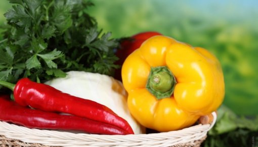 ����� �������: �������� ����� �� ���� ���� �� ���������