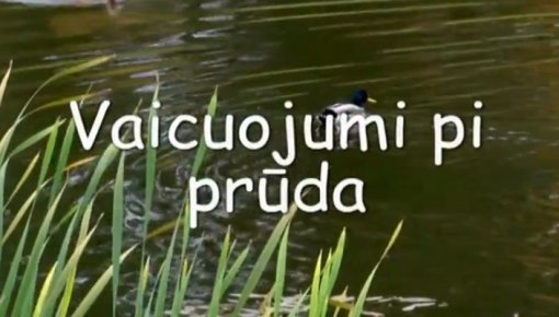 Фильм "Vaicuojumu pi prūda" (видео)