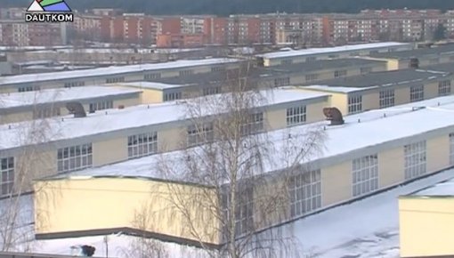Модернизация производственных территорий ЗПЦ (видео)