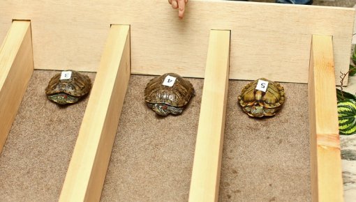 � ������� ��������� ������ � ��������� ����