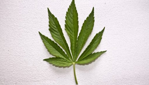 � �������� ����� ��������, ������� �� �����