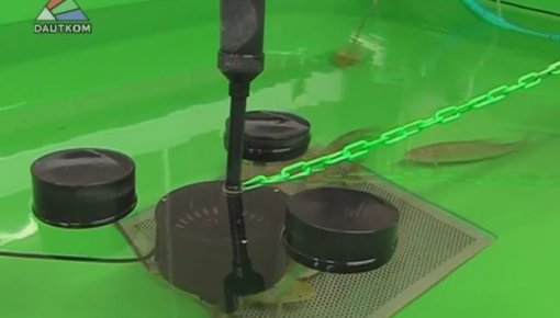 �� ��������� � ������� ������� � "������" �������� (�����)