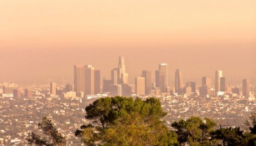 ��� ��������� ������ �� ���������� ���������-2024 � ���-���������