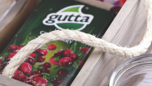Норвежские владельцы объединяют предприятия Spilva и Gutta