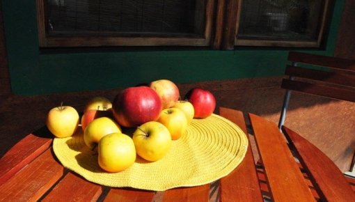 ���������� ��������� �������� �� ����� ������ ����