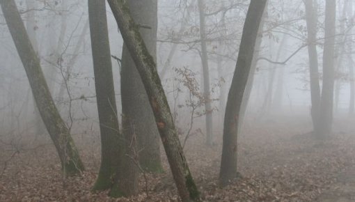 ������� ������ ���������� �� +10