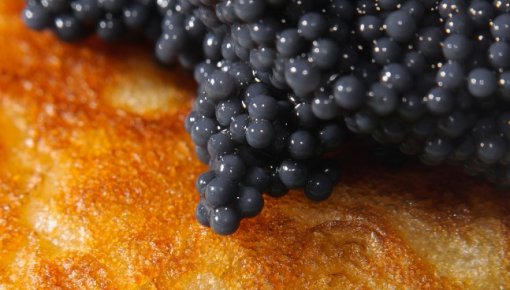 ��� ����������� ��������� ���� � ������ �����