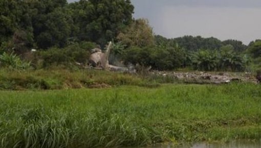 �� ����� ������� �������� � ����� ������ ������� 40 ���