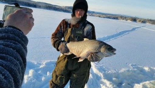Латыш в Швеции установил рекорд в ловле рыбы