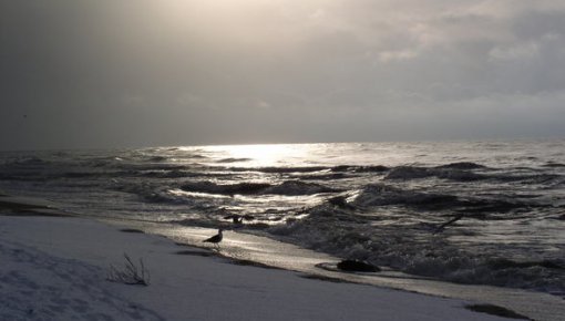 � ��������������� ����� ������� ������� ���������� ������ "����"