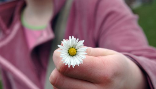 17 ������� � ���� ����������� ���������� �������