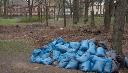 Большой субботник пройдет под лозунгом "Быть Латвии зеленой!"