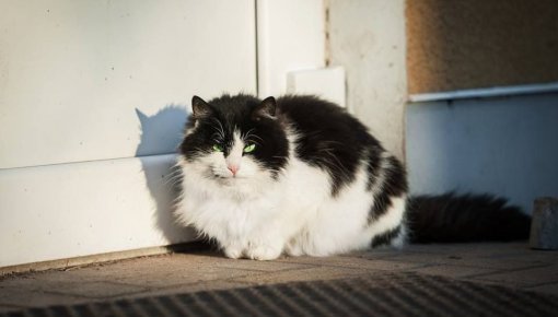 �������� �����: "������ ���� �����"