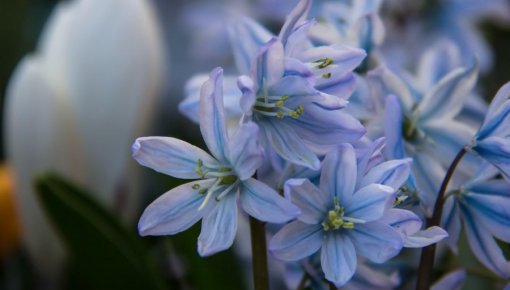 ����� ���������: ���� ����������� ����� � ���� ������ �������