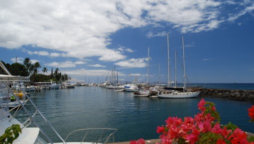 ��������������� ���������� ������ � ���� �������