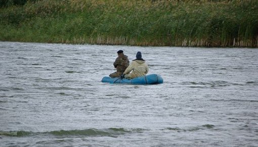 В городские водоемы запустят разную рыбу