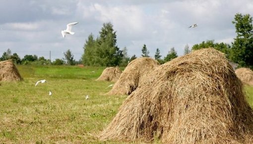 � ���������� ���������� �������� �����: ��������� ������� �� ����� ������ ���������