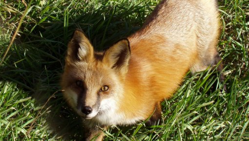 �������� ��� �����