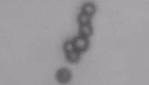 ����������� �������� � ���� �����