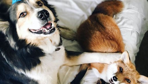 �� ��� �������: 10 ��������, ������� ������� ��� ����, ����� �������