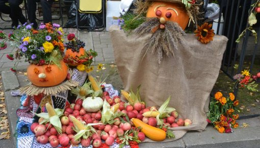 ��� ����: ������� ��������, ����, ���� � �������� ����������