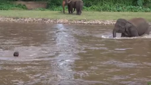 �������� �������� ������� ������ ������������� �� ������ ����