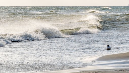 � ���������� ���� ��������� ����� �� ������� ������ � ������