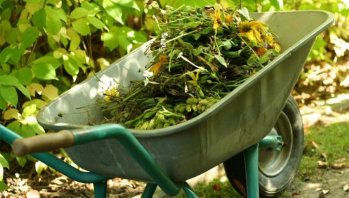 �������� �������� ����� � 10 ������!