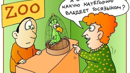 ЦГЯ пригрозил депутату Зайцеву за поздравления с 23 Февраля!