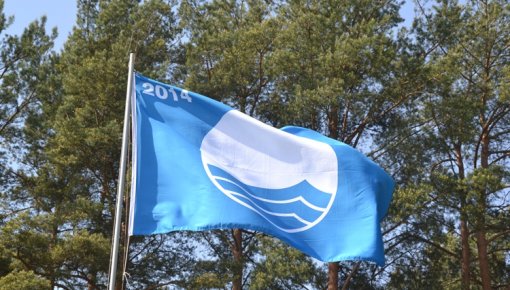 � ���� ���� ����� ����� ����� ������� � 21 �����