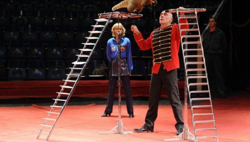 ���� ������� ������ �� ������������� � ����� ����� ��������