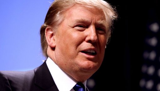 WikiLeaks объявила награду за запись разговоров Трампа и Коми