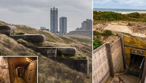 ������������ ���������� ����������� ���������� ������ ��������