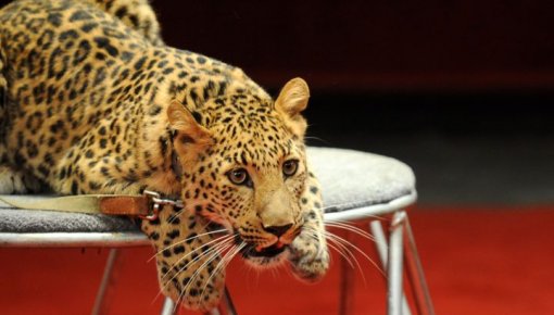 ��������� �������� ���� � ������ � �����