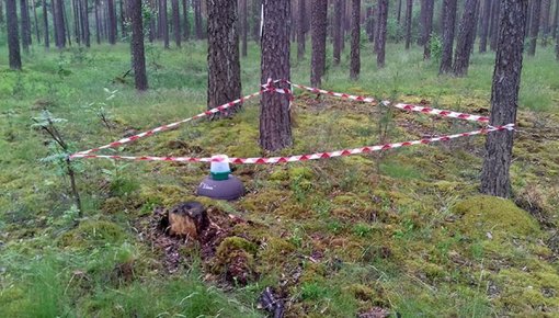 � ���� � ����������� �. ������ ����������� ������� ��� ���������-����������