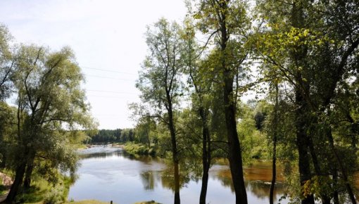 Найдено тело пропавшего 12-летнего мальчика: он утонул в Гауе