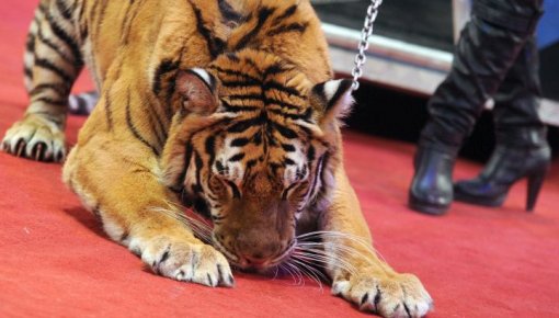 �����: ������ ����� ������ � ����� ����� ������