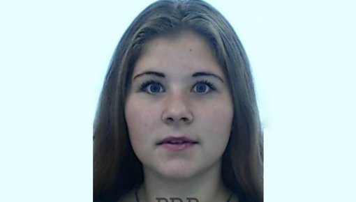 ������������� ������ �����������