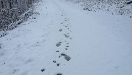 ���� ������ ����: �������� ���������� ������� �������� �� 1000 ��������� � ���������