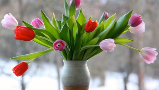 �������� ����� ���������� � ����� ������ � ������������ �� �����