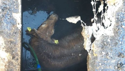 �������� ������ ������