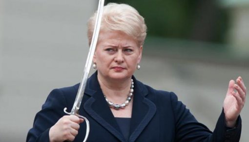 Президент Литвы призвала быть готовыми к нападению России