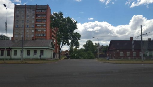 Фотофакт: на ул. Добелес ветром повалило часть дерева