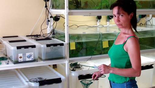 ��� ������. ������������� ������ (����� 2)