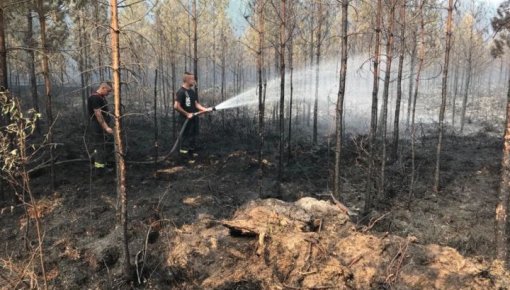Более 60 часов не удается локализовать пожар под Талси